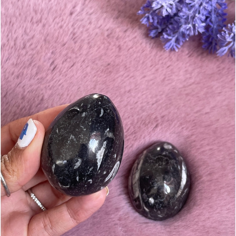 Black Zebra Onyx Egg🖤